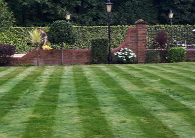 Before scarification on this lawn as it is in need. We shaped all the shrubs to give a formal look Photo Gallery