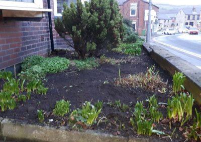 Job Done and we managed to save Spring flowering bulbs and we added Top soil to give nutrients to the soil 1 Photo Gallery