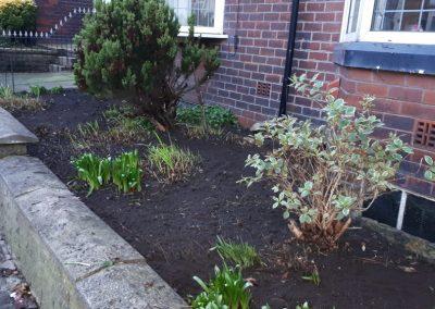 Job Done and we managed to save Spring flowering bulbs and we added Top soil to give nutrients to the soil Photo Gallery